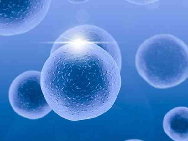 卵泡碎片多配成正常胚胎后移植成功率有多少？