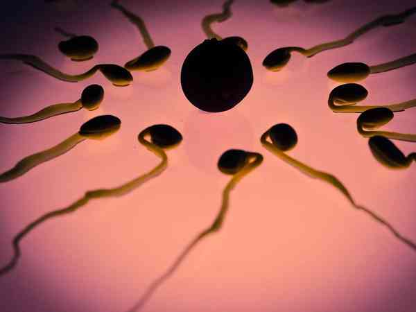 试管婴儿精子活力达到多少以上可以做一代？