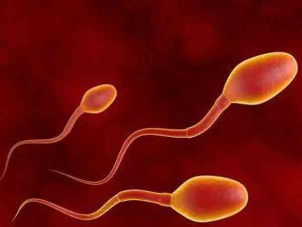 精子头部缺陷90%能正常怀孕生孩子吗？