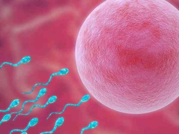 精子活力26%能自然受孕生育的可能性很低吗？
