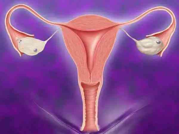 b超检查有多囊卵巢但激素6项正常为啥医生说没事？