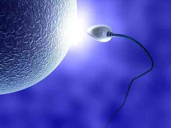 d级精子多活动率差和死精症有什么区别？