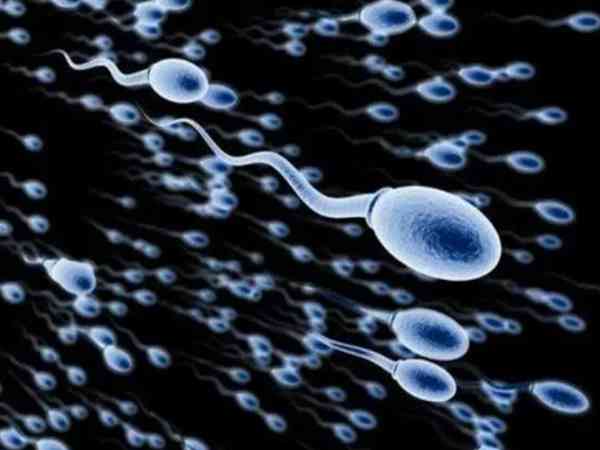 精子dfi碎片率高达50%可以做二代试管婴儿吗？