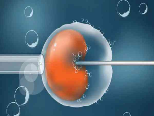 第三天8细胞胚胎百分之15的碎片率能移植成功么？