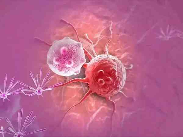 NK淋巴细胞百分比超过多少容易发生胎停？