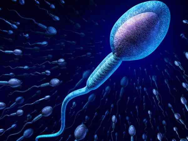 精子DNA碎片率dfi≥30%完整性差需要怎么治疗改善？