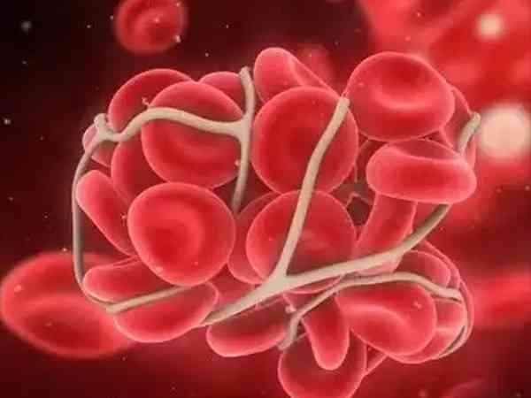 女方糖化血红蛋白高10.3能做试管移植胚胎吗？
