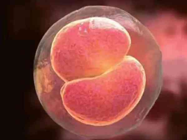 D3等级质量933的胚胎代表什么意思？