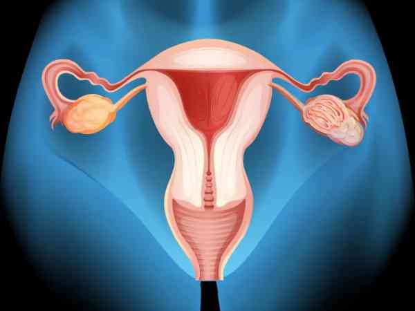 取卵后如何通过月经情况来判断卵巢是否恢复正常？