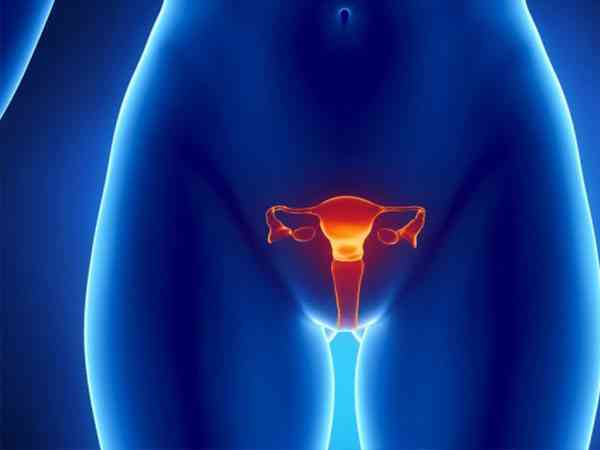 中隔子宫和纵隔子宫的区别是受孕率不同吗？