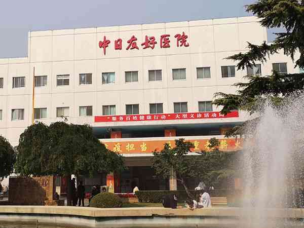 2023年北京中日医院能做试管婴儿了吗？
