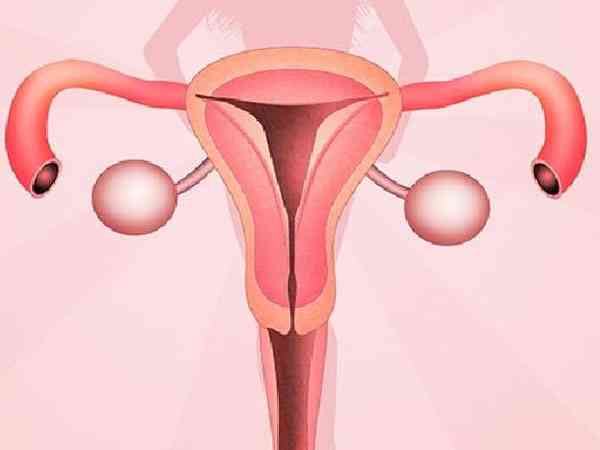 宫腔下端颈管狭窄能做试管婴儿助孕吗？