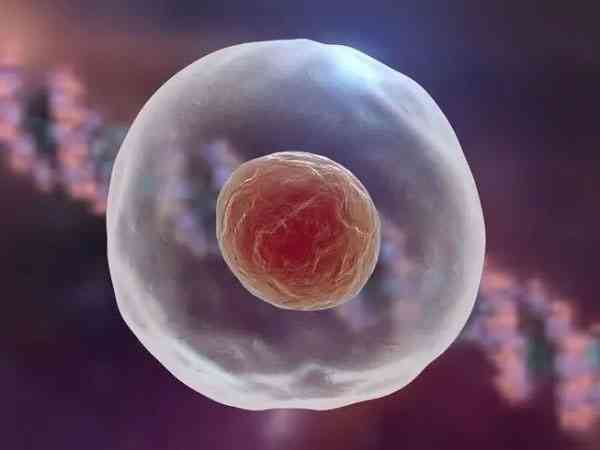 自然周期取一个卵泡能成功配上胚胎吗？