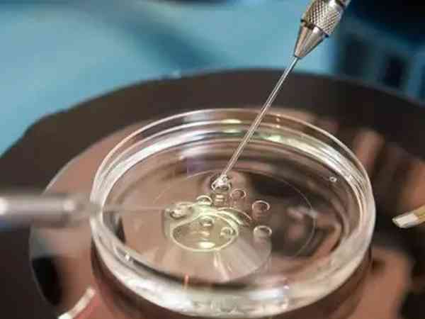 石家庄有可以供胚胎做试管婴儿的医院吗？