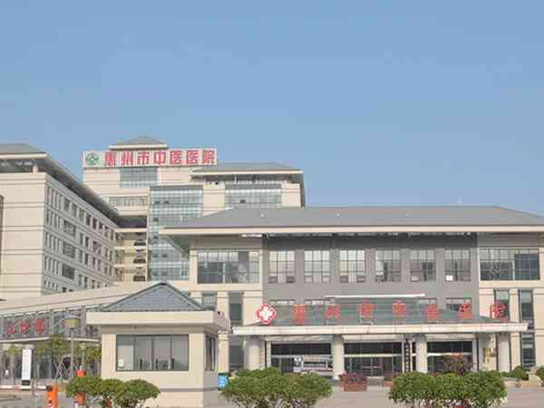谁有惠州市中医医院试管婴儿费用明细清单？