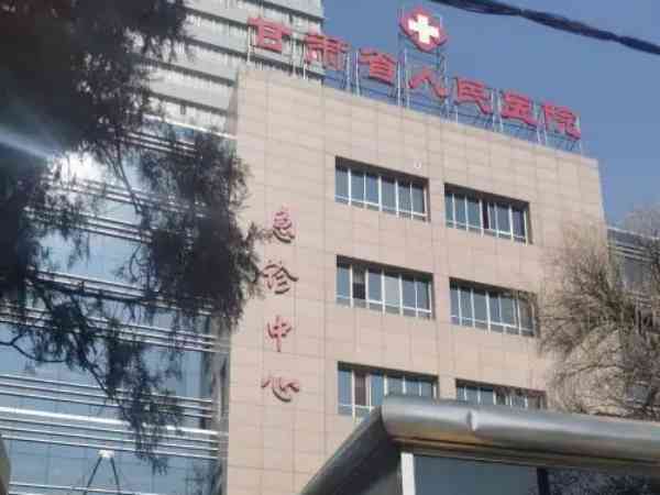 甘肃省人民医院做试管婴儿移植一次最多要多少钱？