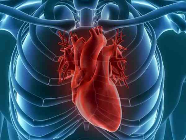 轻微心肌缺血心脏供血不足影响试管移植么？
