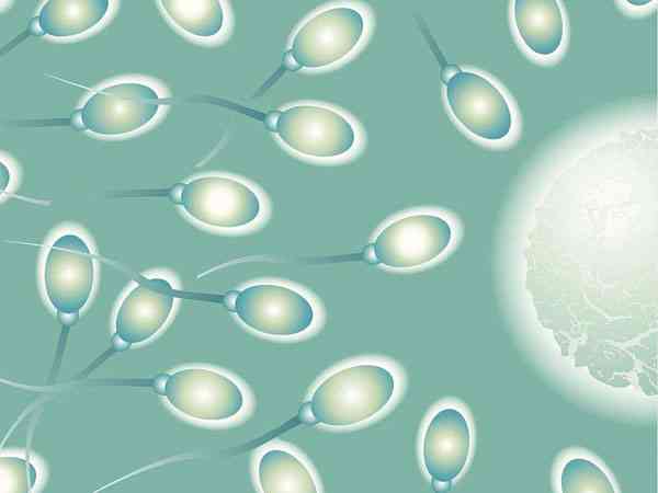 试管婴儿受精率低的原因是精子质量差吗？