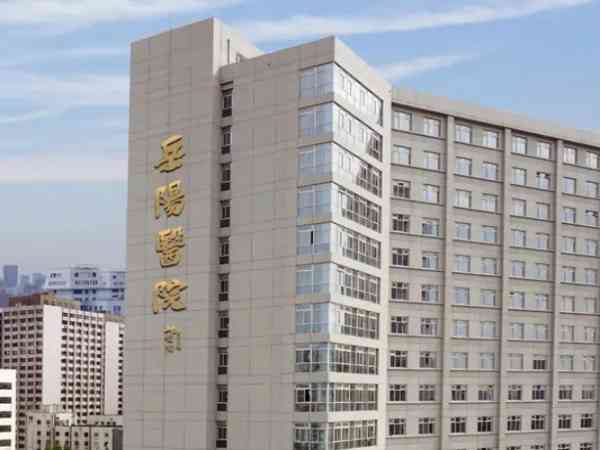 上海岳阳医院生殖科做试管婴儿移植囊胚成功率怎么样？