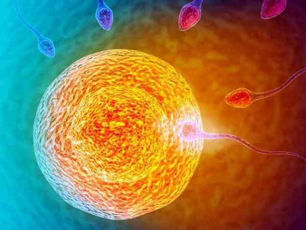 借卵做试管的婴儿血型与DNA会和孕母有关系吗？