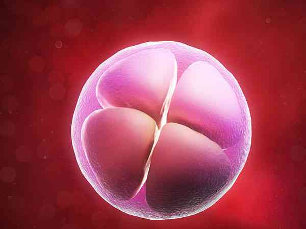六次试管移植不成功是因为胚胎质量太差吗？