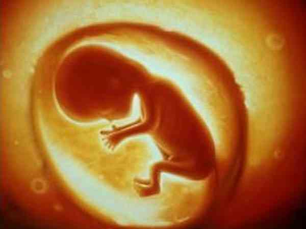 9周胎停性染色体x单体是母体原因导致的吗？