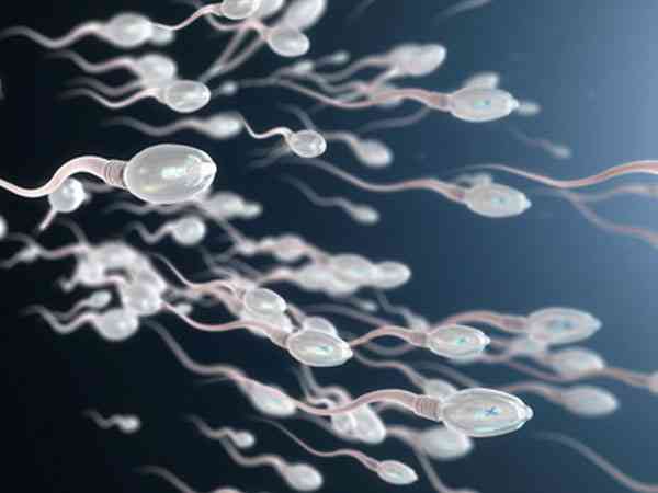 精原细胞和精子的区别是发育程度不同吗？