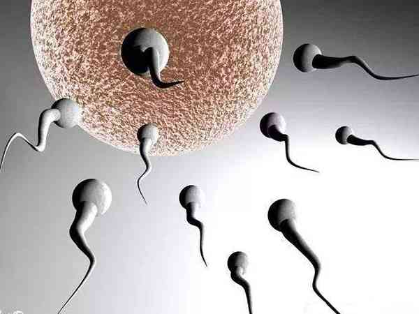 什么情况下可以申请用供精者的精子做人工授精生二胎？