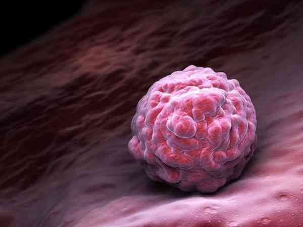 子宫内膜苍白会影响试管移植后胚胎的着床成功率吗？