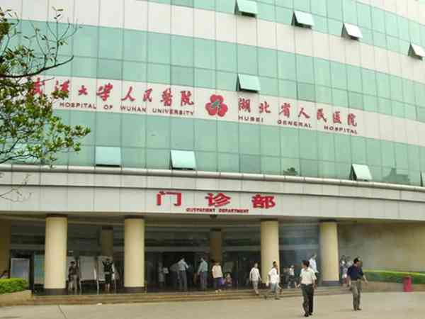 湖北省武汉人民医院杨菁教授做试管婴儿技术怎么样？