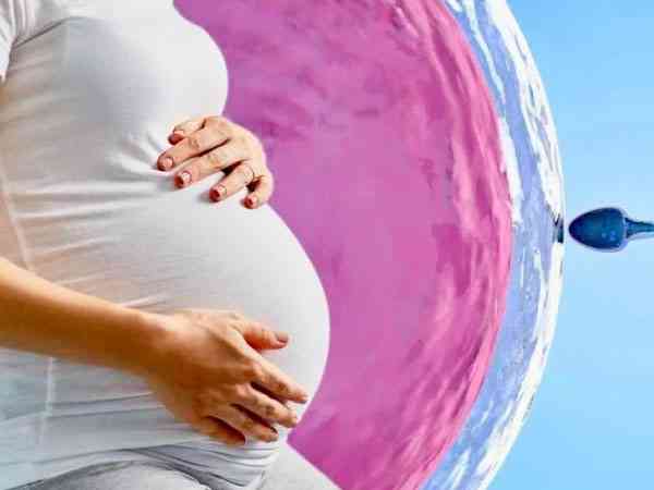 女性做试管婴儿会导致更年期提前是真的吗？