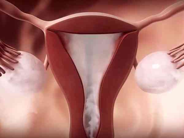 促排一切正常就是怀不上和子宫内膜过薄有关吗？