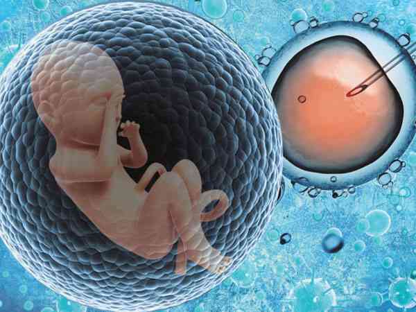 男性梅毒rpr阳性滴度1比1生殖中心会给做试管婴儿么？