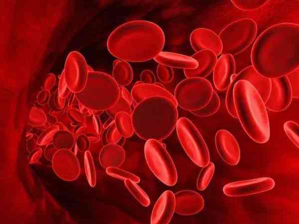 红细胞压积偏高能移植鲜胚吗？会不会影响胚胎着床？