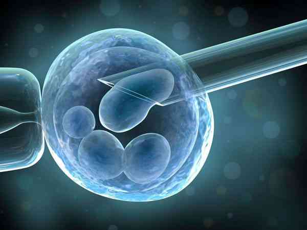 谷氨酰转肽酶偏高可以做试管吗？会影响胚胎着床吗？