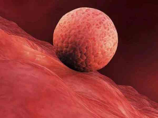 双侧输卵管增粗会影响胚胎移植和着床吗？