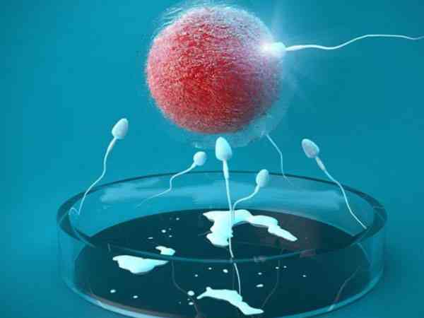 精子尾巴畸形对二代试管的影响是会降低受精率吗？