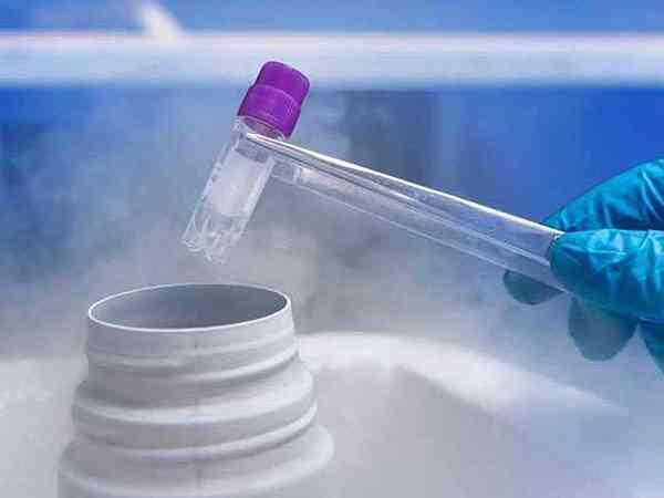 替代周期移植冻胚的具体流程是怎样的？