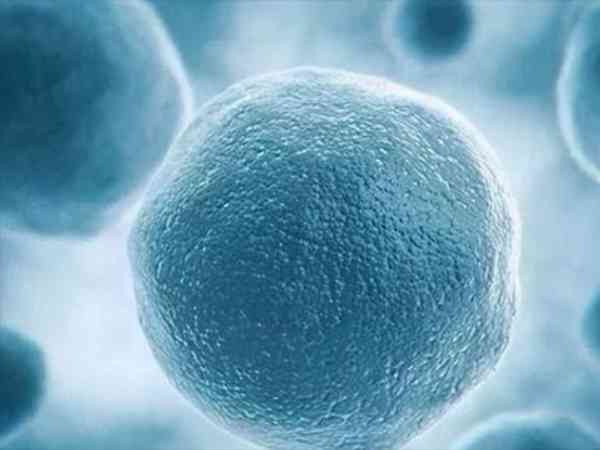 移植冻胚用激素替代周期和人工周期有什么区别？