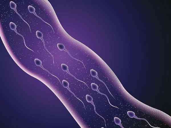 精子平均路径速度vpa高低与受孕几率有关系吗？