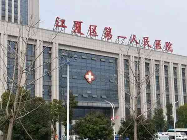 45岁停经了还能去武汉江夏区第一人民医院做试管生二胎吗？