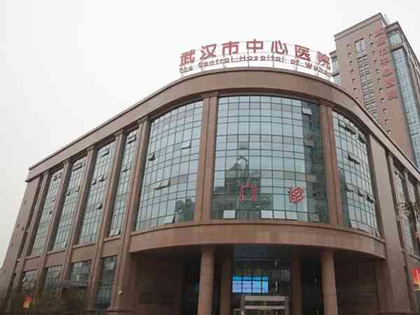 武汉市中心医院做试管可以选择性别移植龙凤胎吗？