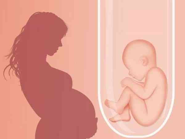 卵巢早衰只有一个卵泡做二代试管助孕行吗？