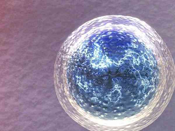 d3的冻胚是几级胚胎？属于优胚吗？
