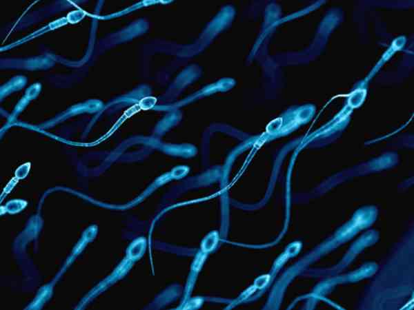 二代试管婴儿离心法精子优化处理过程是怎么样的？