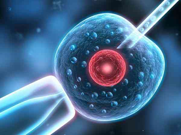核蛋白不成熟的精子做二代试管可以正常受精？