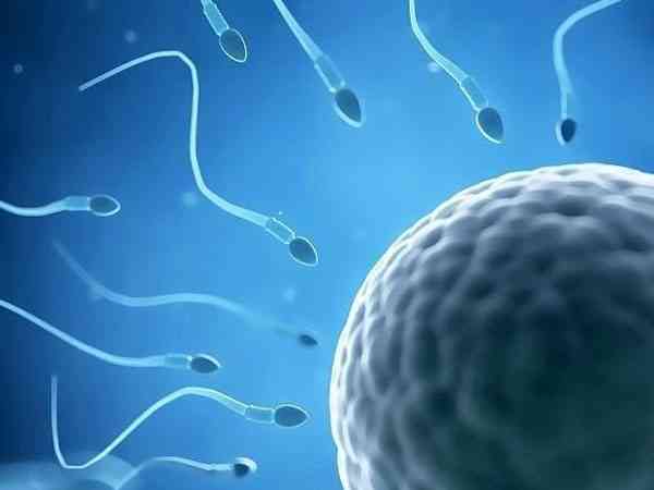 试管婴儿全部都是异常的受精卵是什么原因导致？