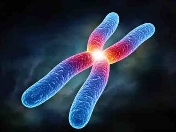 x染色体单体可以去青岛第八人民医院做试管生育吗？