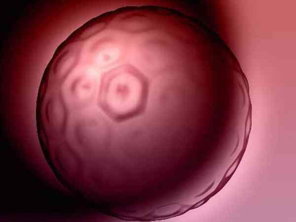 做三代试管医生说6个胚胎养囊送检是什么意思？