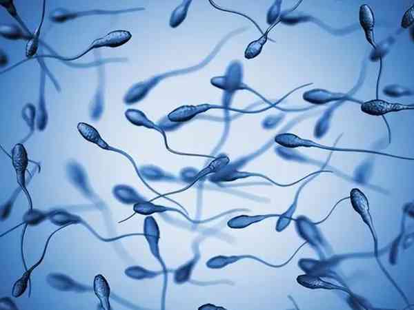 去合肥人类精子库捐献精子需要满足哪些条件？